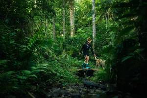 BIB: 
                            <button type="button" onclick="openModal(28508668)" class="btn btn-primary btn-sm float-right btn-popup" data-toggle="modal" data-target=".modal-high-quality">
                        <i class="fas fa-shopping-cart"></i> Add to Cart
                    </button>
                                            <button type="button" onclick="isThisMe(28508668, true)" class="btn btn-success btn-sm float-right btn-popup btn-isme hidden" data-toggle="tooltip" data-placement="bottom" title="นี่คือรูปของคุณใช่ไหม คลิกที่นี่เพื่อเอาเข้าอัลบั้ม">
                        <i class="fas fa-plus"></i> Add to album
                    </button>
                    <button type="button" onclick="isThisMe(28508668, false)" class="btn btn-warning btn-sm float-right btn-popup btn-isnotme hidden">
                        <i class="fas fa-ban"></i> Remove from album
                    </button>